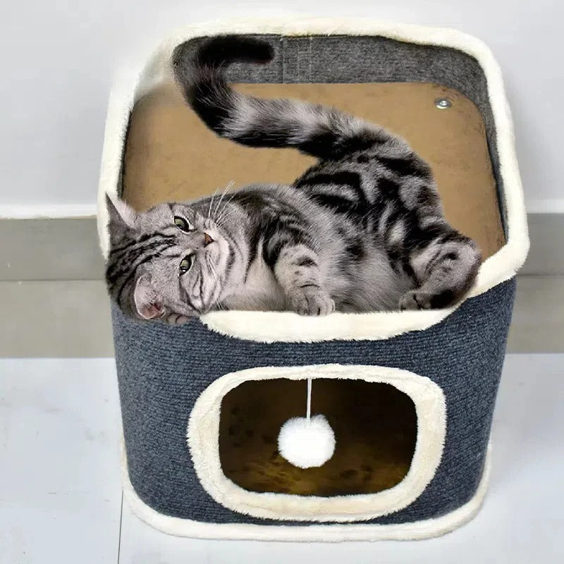 Arbre a Chat un niveau avec chat coucher dessus