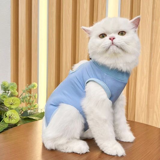 Body pour chat bleu