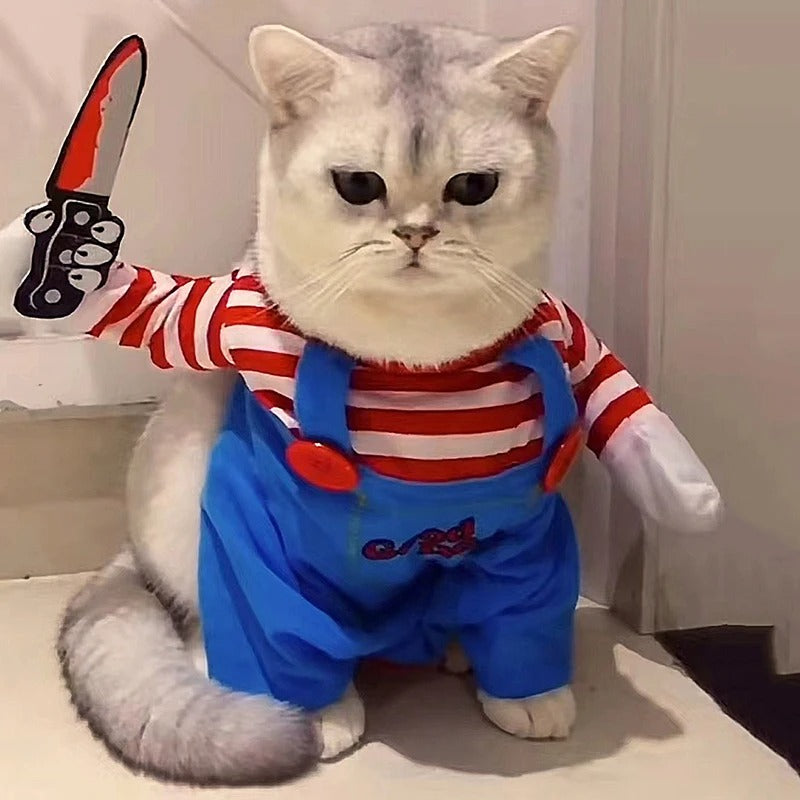 Déguisement pour Chat tueur en série regard ténébreux
