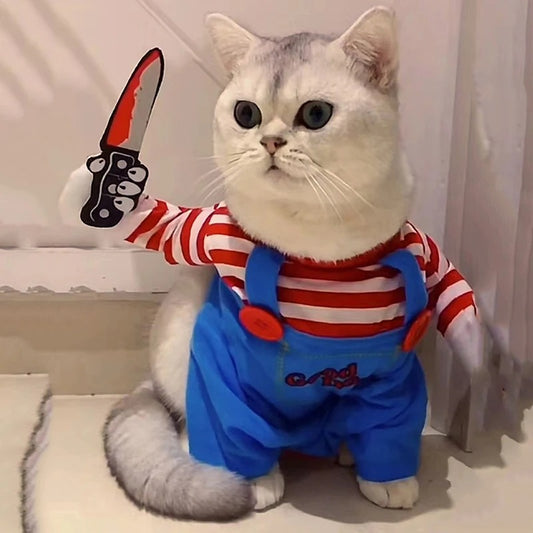 Déguisement pour Chat tueur en série