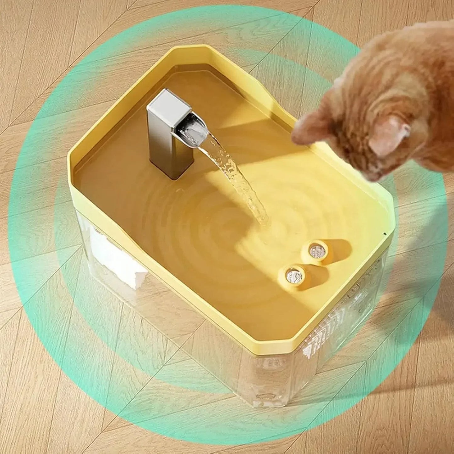 Fontaine a Eau pour Chat jaune onde