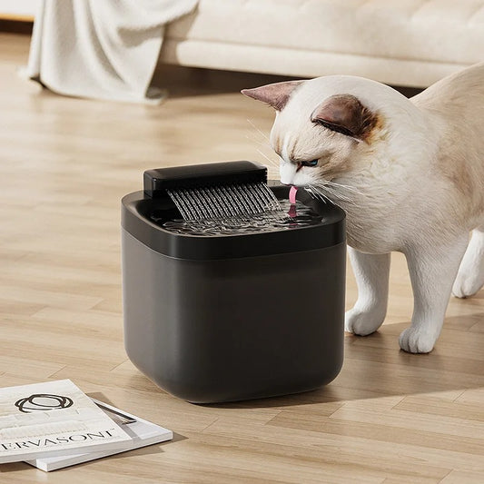 Fontaine eau chat noir et chat boit