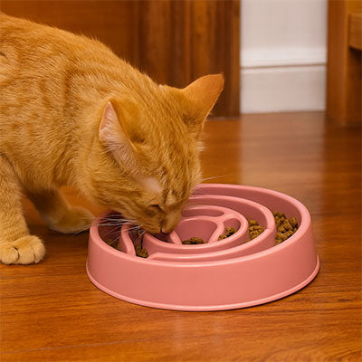 Gamelle anti glouton chat rose macaron mange