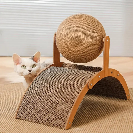 Griffoir avec boule chat a cote