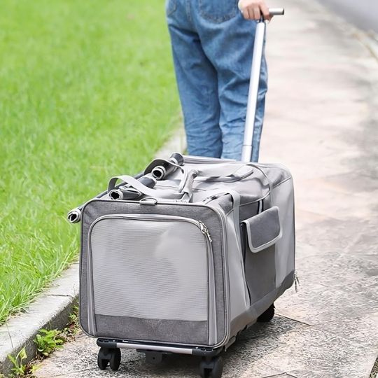 Sac Transport Chat gris promenade