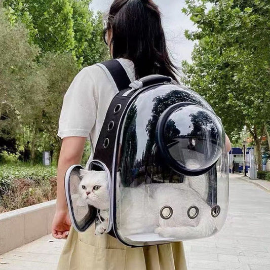 Sac a dos Chat avec couvercle et poche gauche ouverte