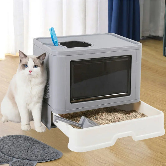 bac à litière pour chat avec chat a cote