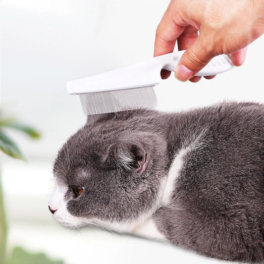 brosse pour chat blanc