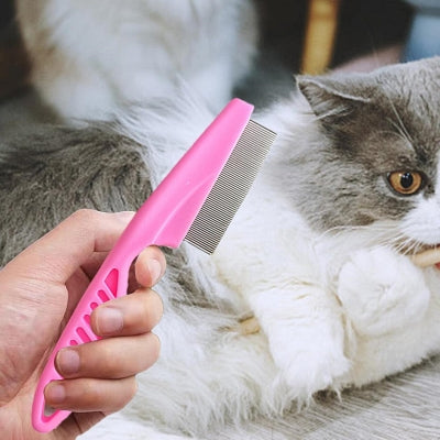 brosse rose pour chat dans main blanc