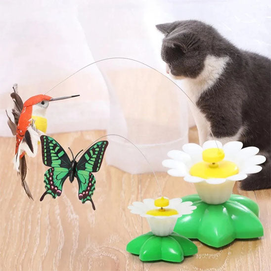 deux Jouet chat a cote