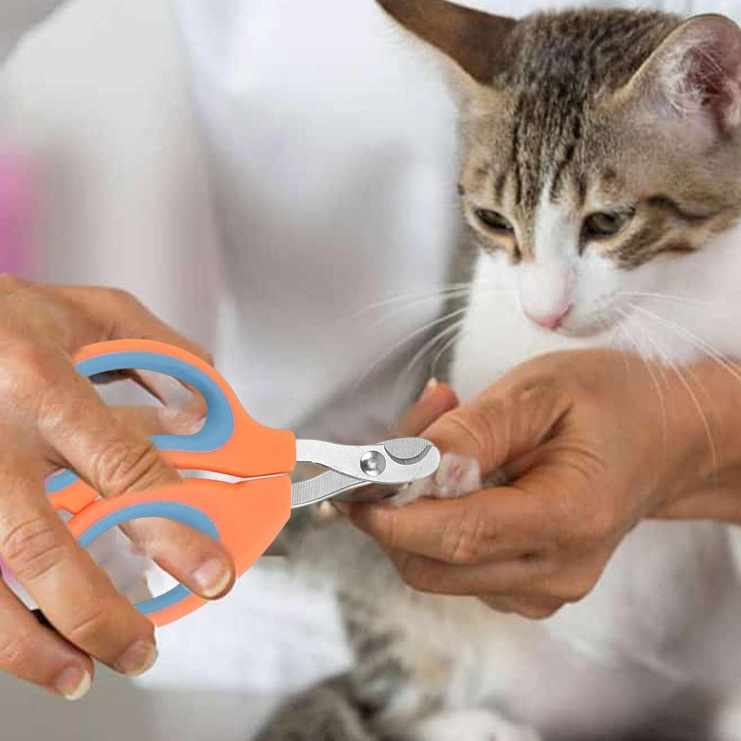 Coupe Ongle pour Chat - PetCatNailScissor™ - Orange Bleu