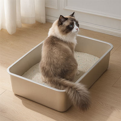 Bac litière Chat queue extérieur