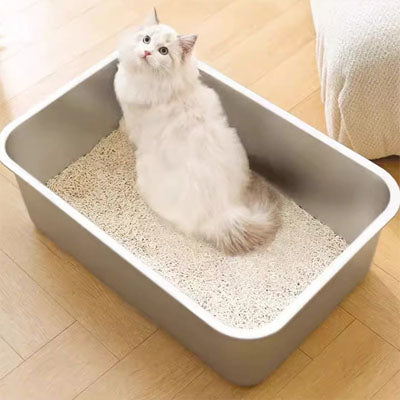 Bac litière Chat vue de haut