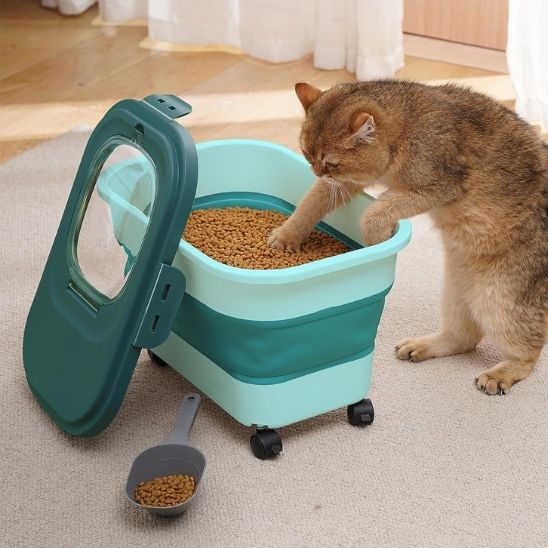 Boite a croquettes pour chat vert grand