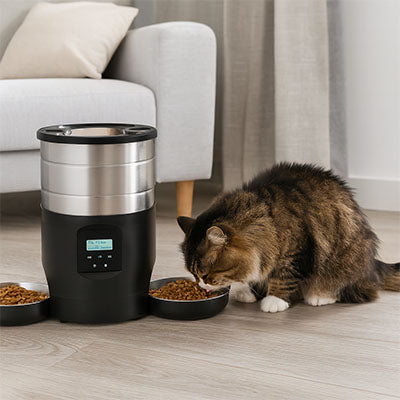 Distributeur de croquettes pour chat | PawFoodFeeder™