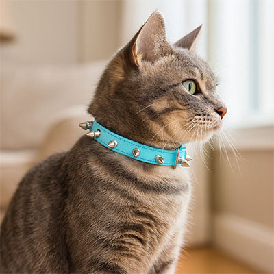Collier Chat bleu ciel profil