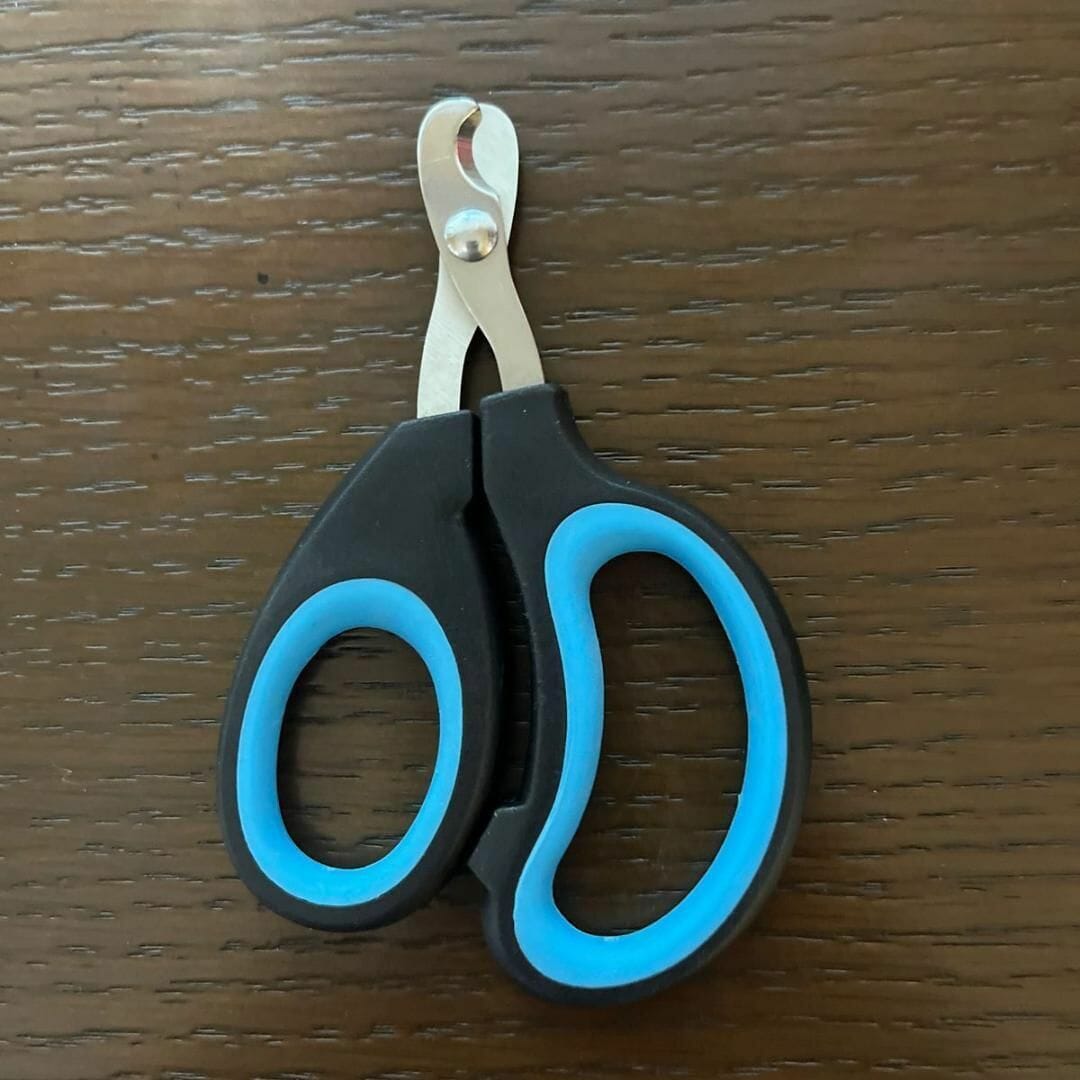 Coupe Ongle pour chat noir bleu haut