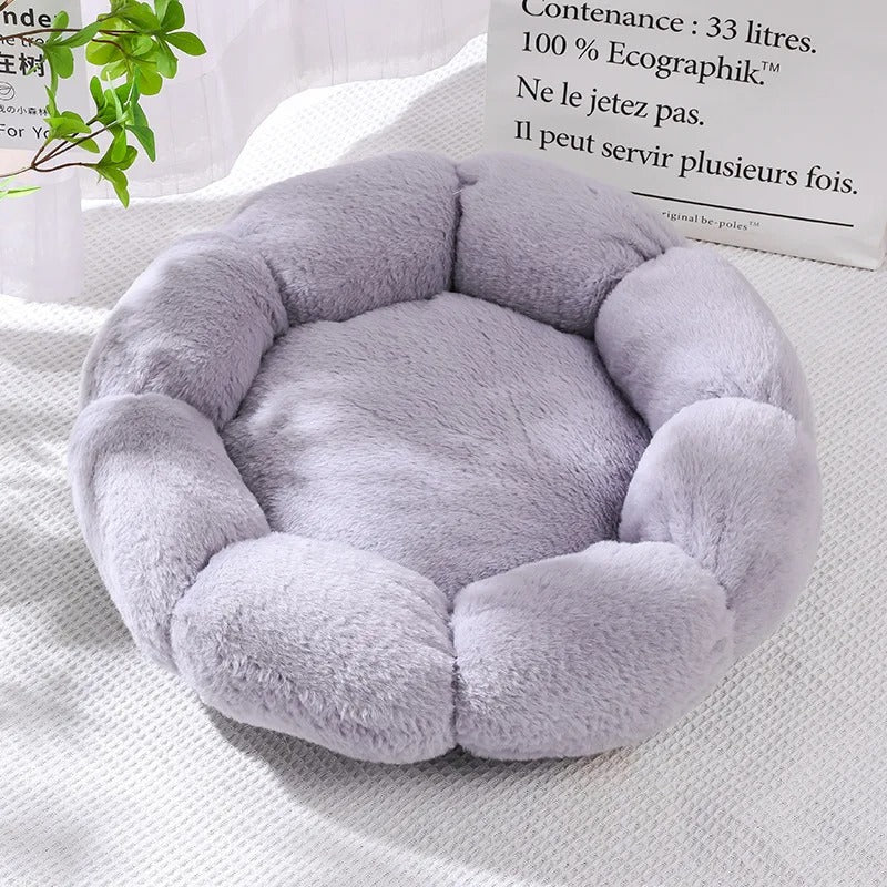 Coussin pour chat violet