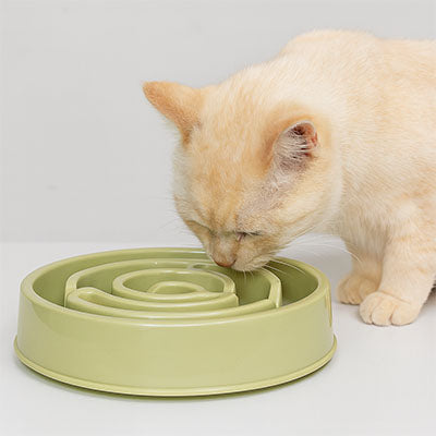 Gamelle anti glouton chat vert macaron