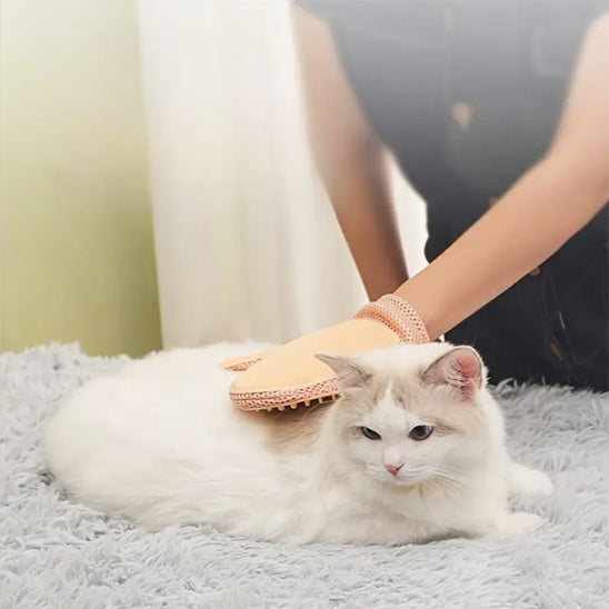 Gant de toilettage jaune caresse chat