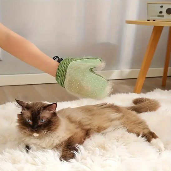Gant de toilettage vert remplies de poils chat
