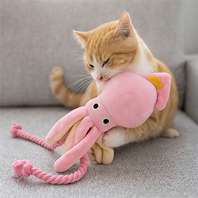 Jeux pour chat pieuvre rose sur canape
