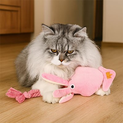 Jeux pour chat pieuvre rose