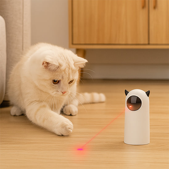 Laser chat blanc lumière rouge sur plancher
