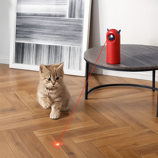 Laser chat rouge sur table lumiere