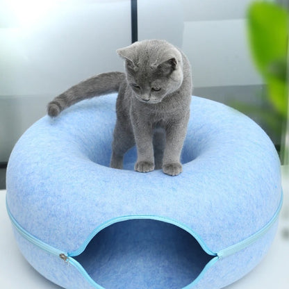 Lit pour chat bleu bebe chat dessus