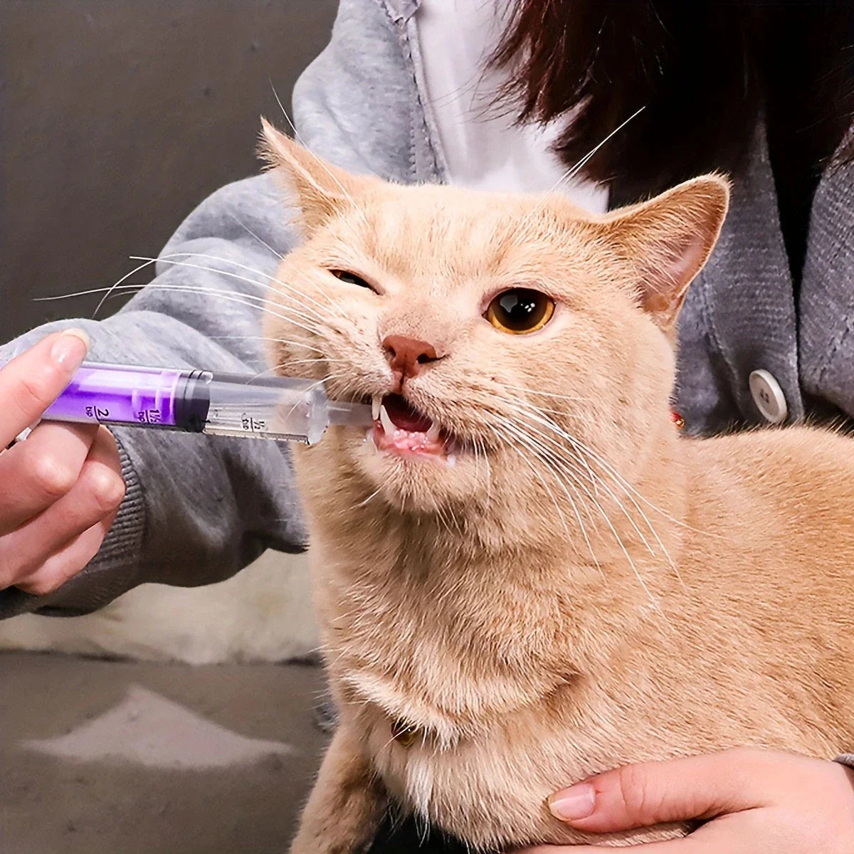 Seringue Alimentation - CatFeedingSyringe™ - Violet
