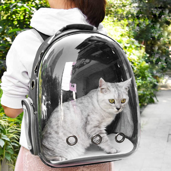 Sac a dos Chat sans couvercle chat à intérieur