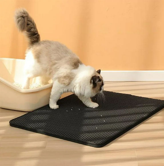 Tapis chat litière chat atterrit dessus
