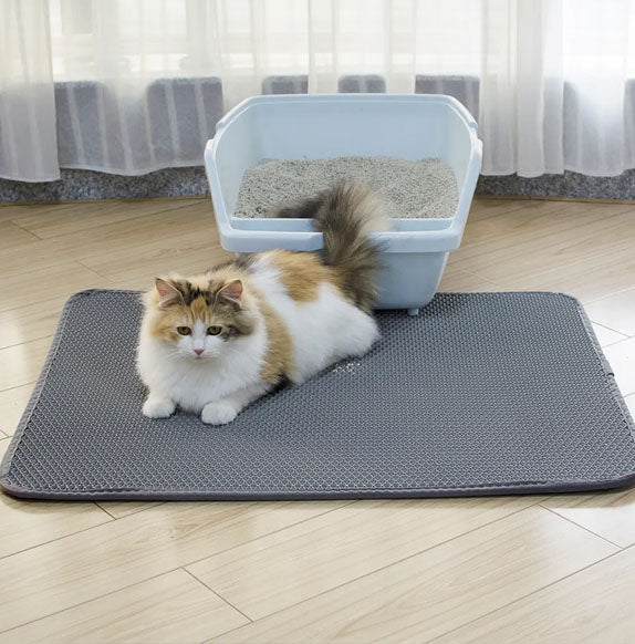 Tapis chat litière dans salon