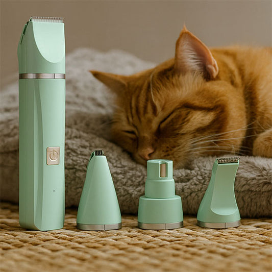 Tondeuse pour Chat vert devant chat