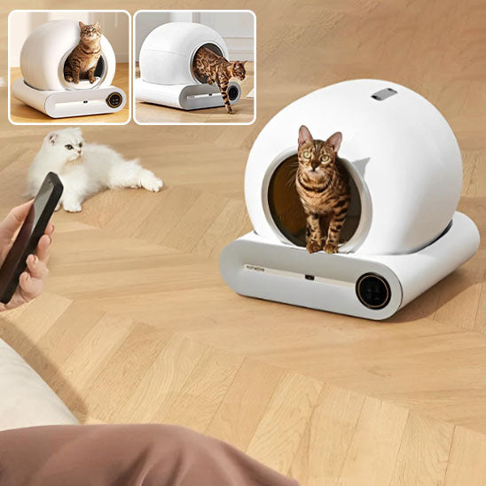 bac a litière chat contrôler par le téléphone