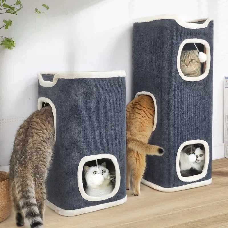 deux Arbre a Chat multi niveau chat intérieur