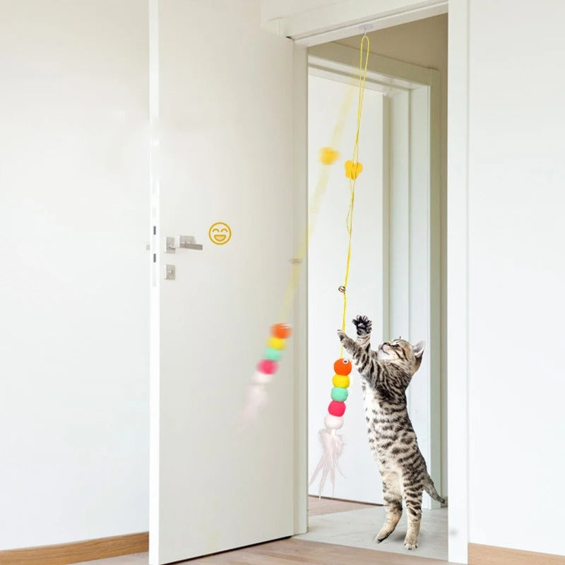 jouet chat interactif chenilles à plume devant porte de chambre