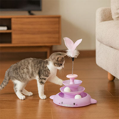 jouet pour chat salon balle canape