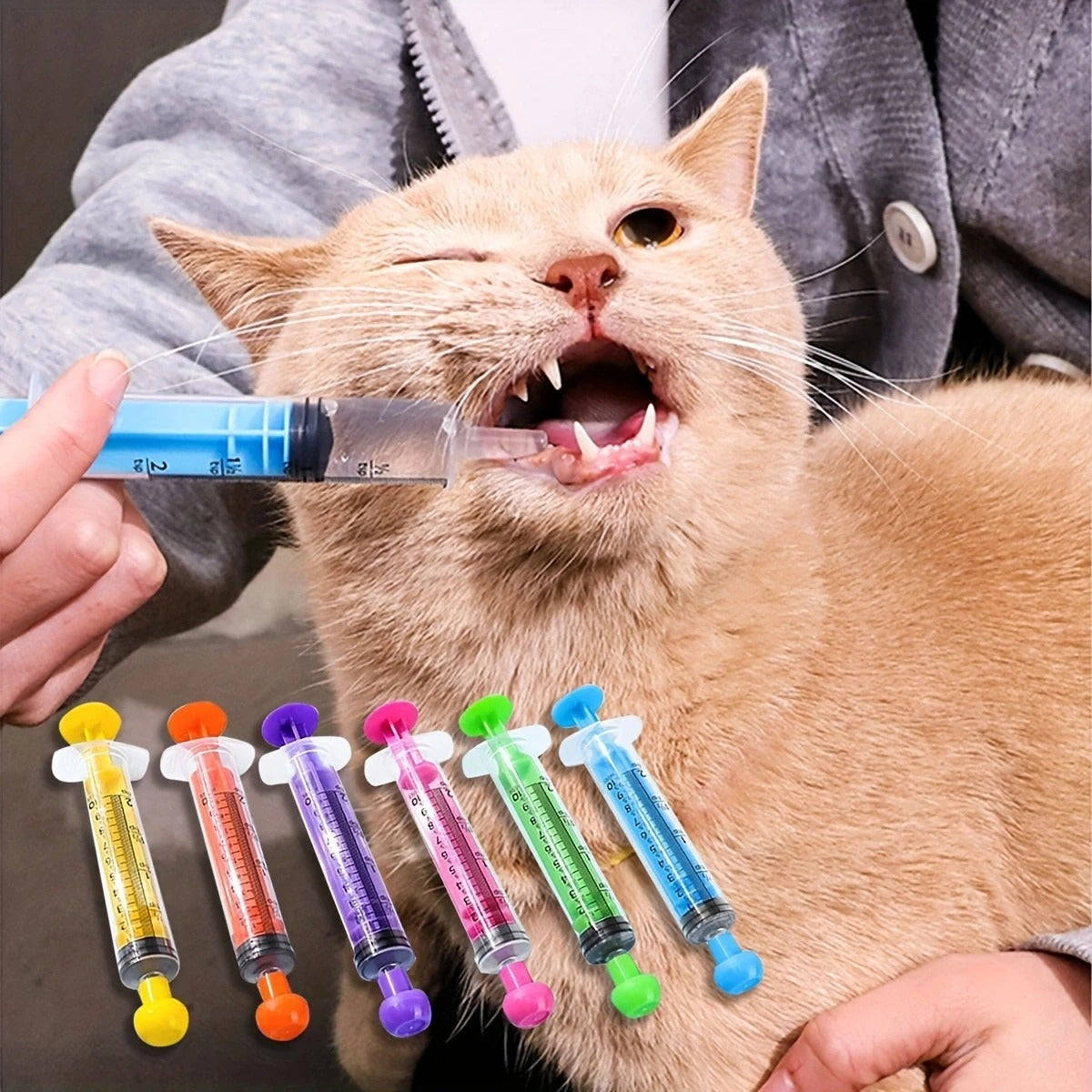 seringue alimentation couleur chat